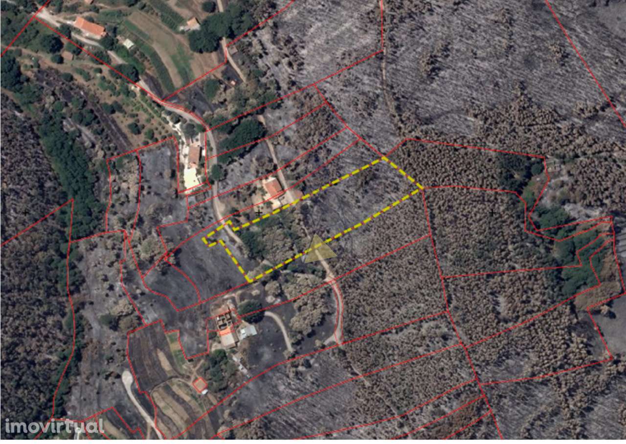 Terreno rústico com 7120 m2 na Fóia - Monchique - Grande imagem: 3/14