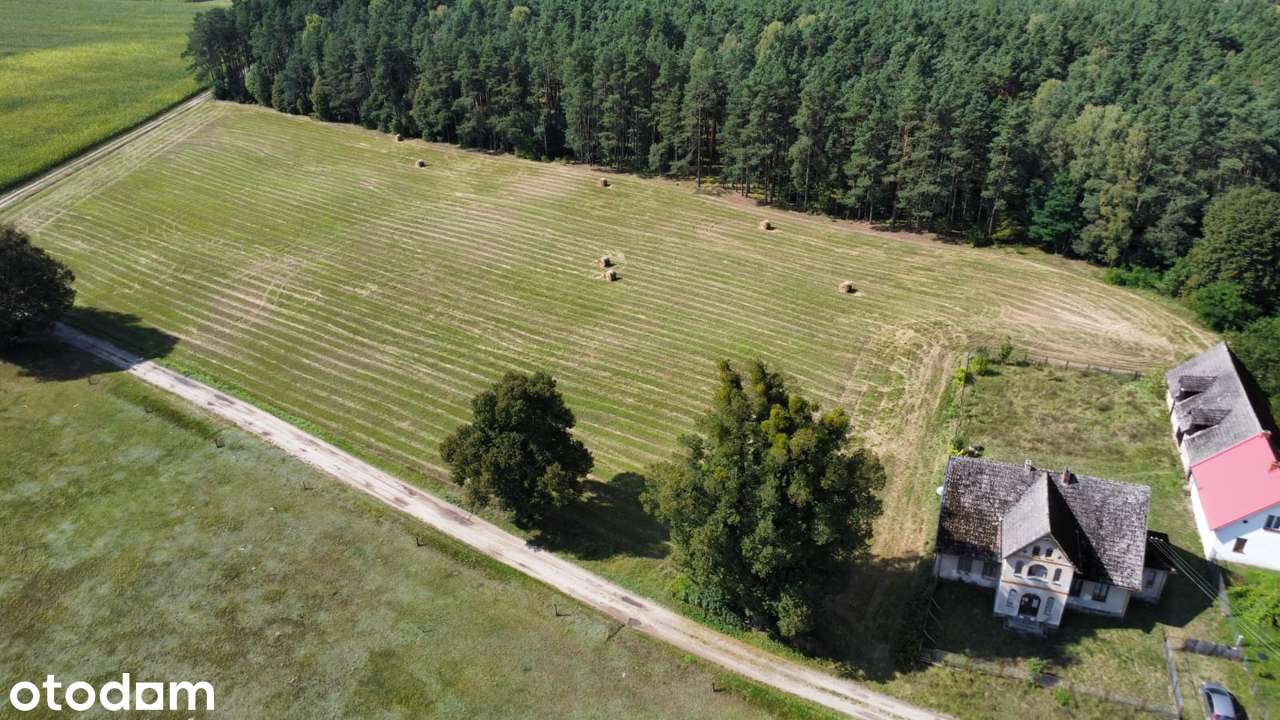 Nieruchomość inwestycyjna – dworek oraz 4,99 ha z możliwością podziału - Pełny obrazek: 3/8