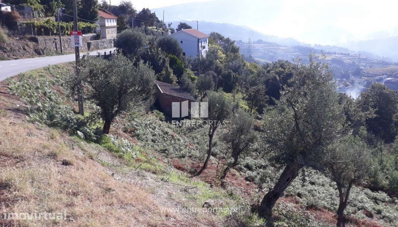 Venda Terreno, vista panorâmica, Valadares, Baião - Grande imagem: 5/6