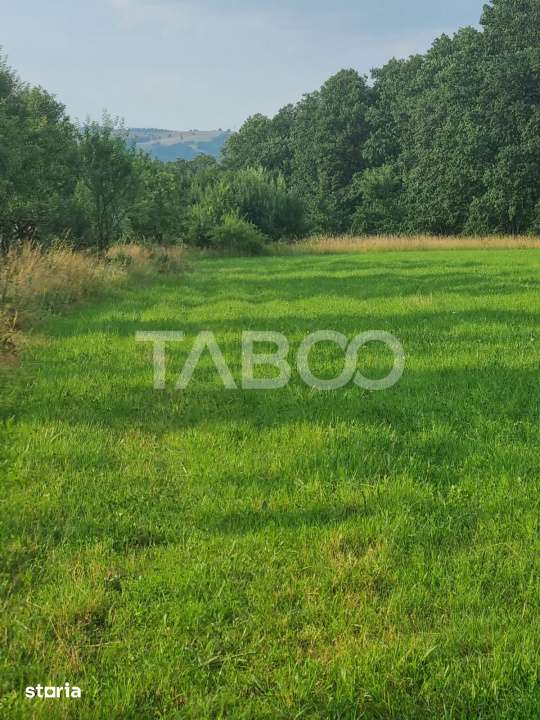Teren pretabil cabana sau gradina 1670 mp zona deosebita Sibiel - Imagine principală: 3/3