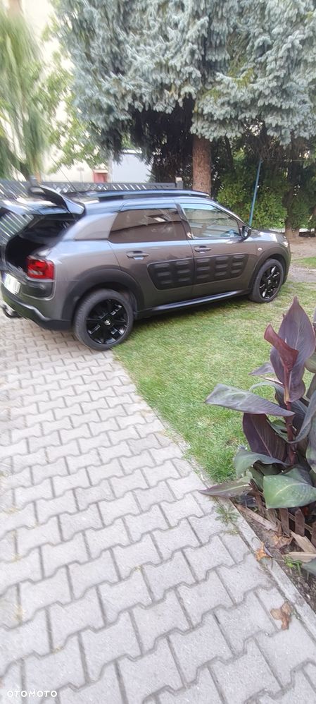 Citroën C4 Cactus 1.2 PureTech Shine S&S - 16