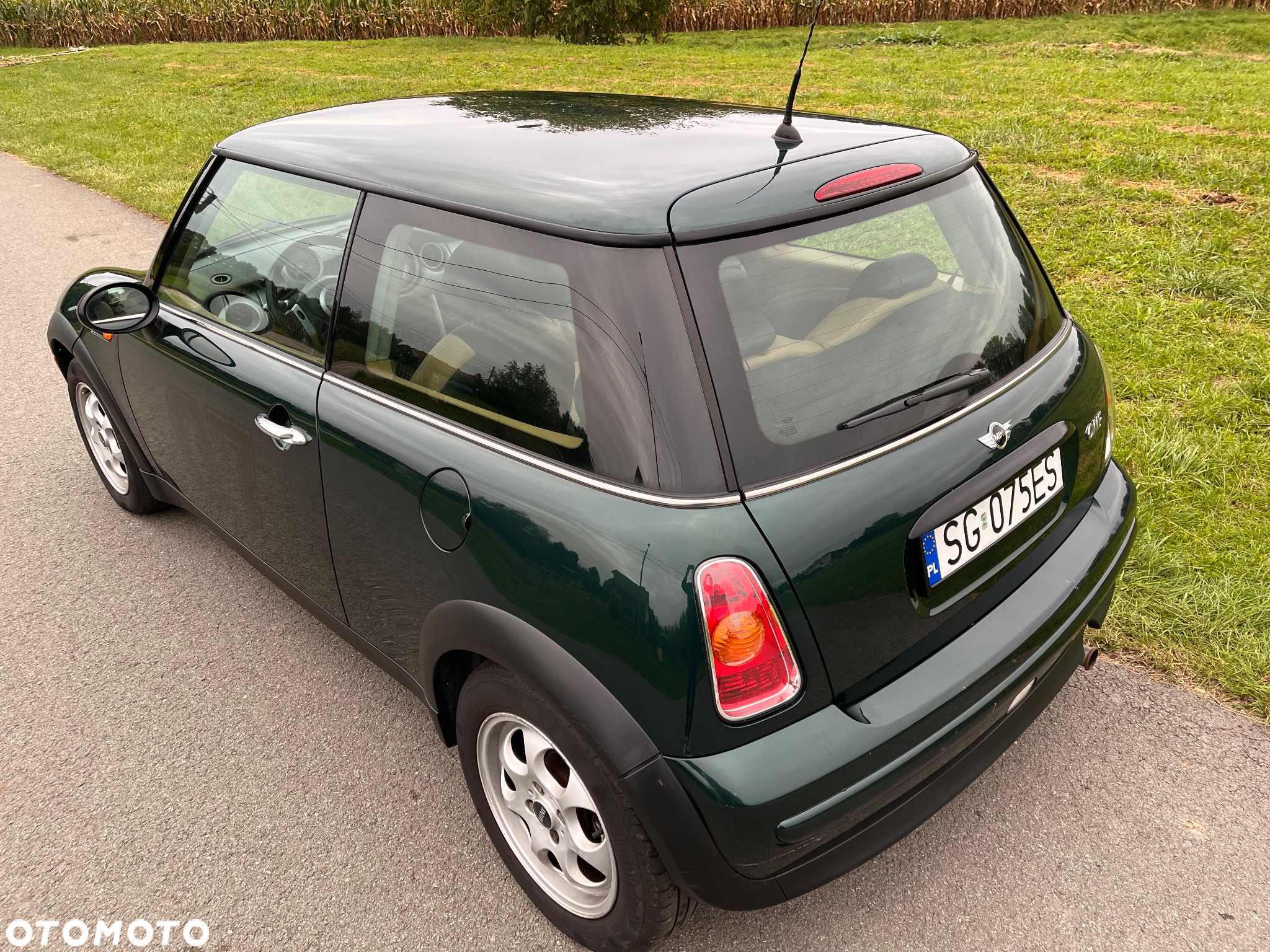 MINI ONE salt - 15