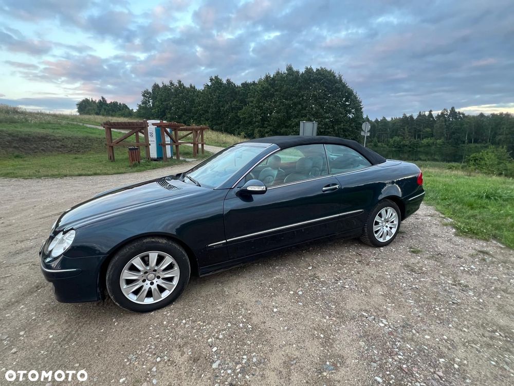 Mercedes-Benz CLK - 19