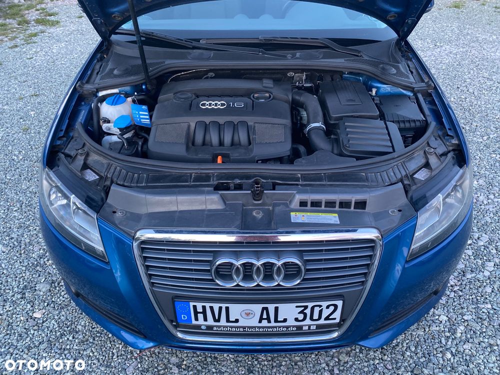 Audi A3 Sportback 1.6 Attraction - 18