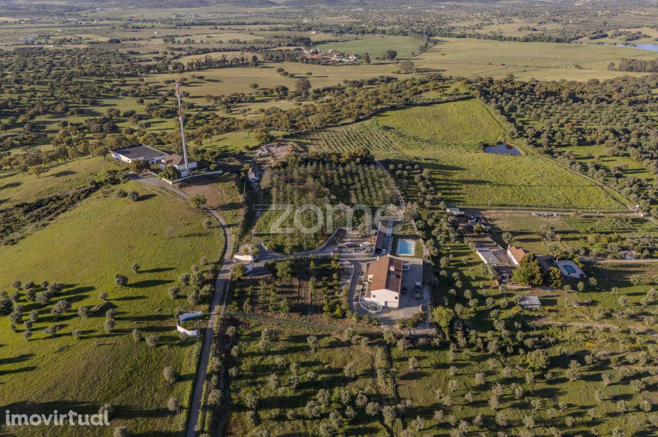 Quinta Exclusiva com 3 Hectares - Redondo - Grande imagem: 2/60