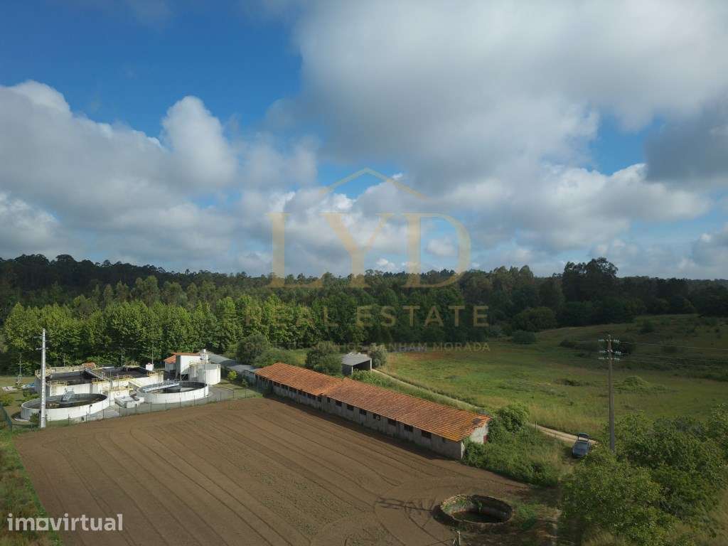 Armazém para venda em Amoreira da Gândara, Anadia | Antigos aviário... - Grande imagem: 2/20