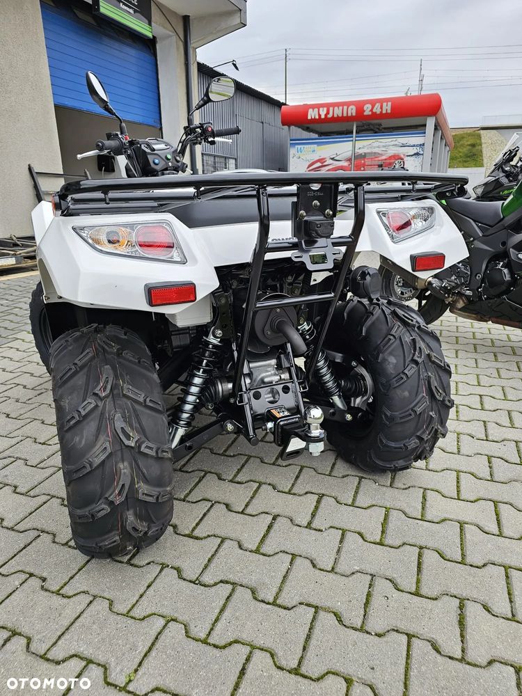 Kawasaki Brute Force