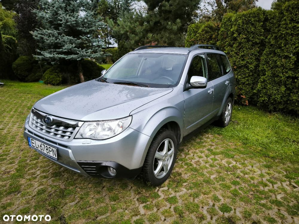 Subaru Forester - 19