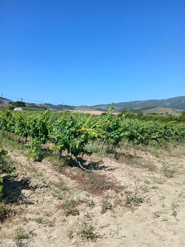 Terreno  Venda em Vila Verde dos Francos,Alenquer - Grande imagem: 3/6