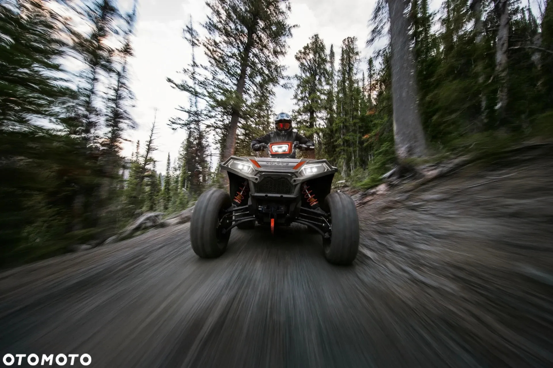 Polaris Sportsman - 10