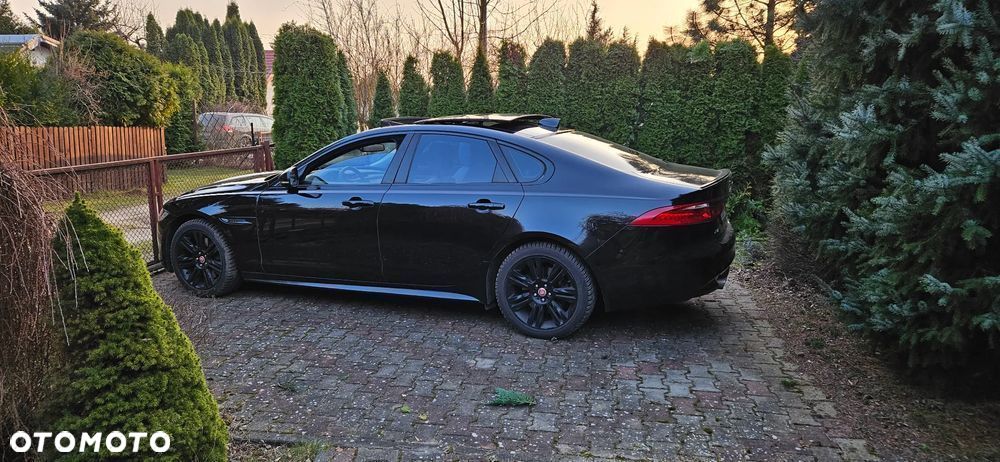 Jaguar XF 3.0 V6 Prestige - 2