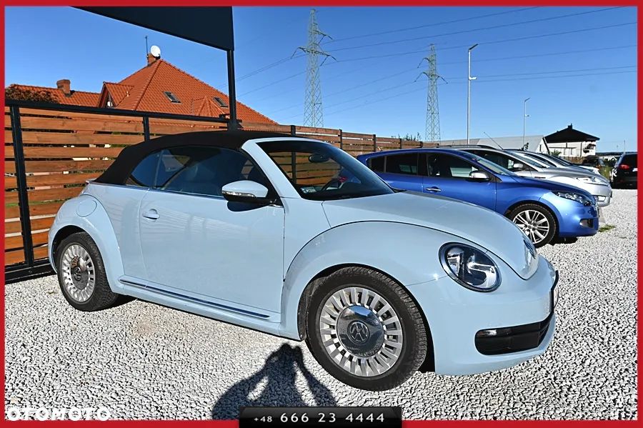 Volkswagen Beetle - 8