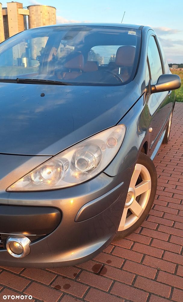 Peugeot 307 2.0 Sporty - 14