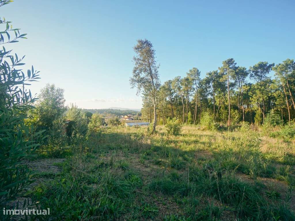 Terreno para venda, em Mazedo e Cortes, Monção com aproximadamente ... - Grande imagem: 3/6