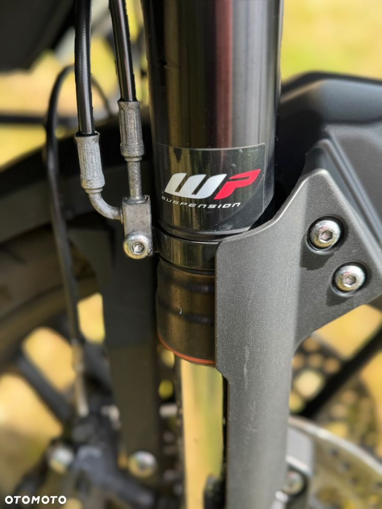 Triumph Tiger - 14