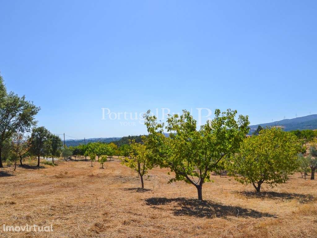 Terreno para cultivo com anexo, nos Montes da Senhora - Grande imagem: 5/15