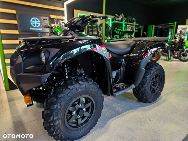 Kawasaki Brute Force