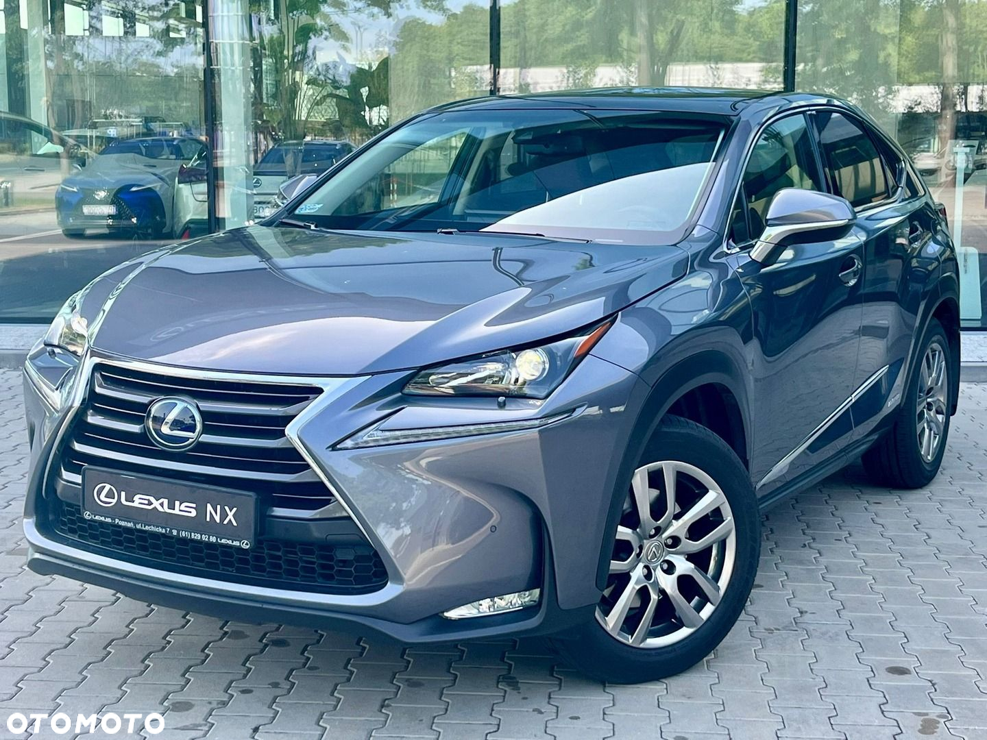 Lexus NX - 11