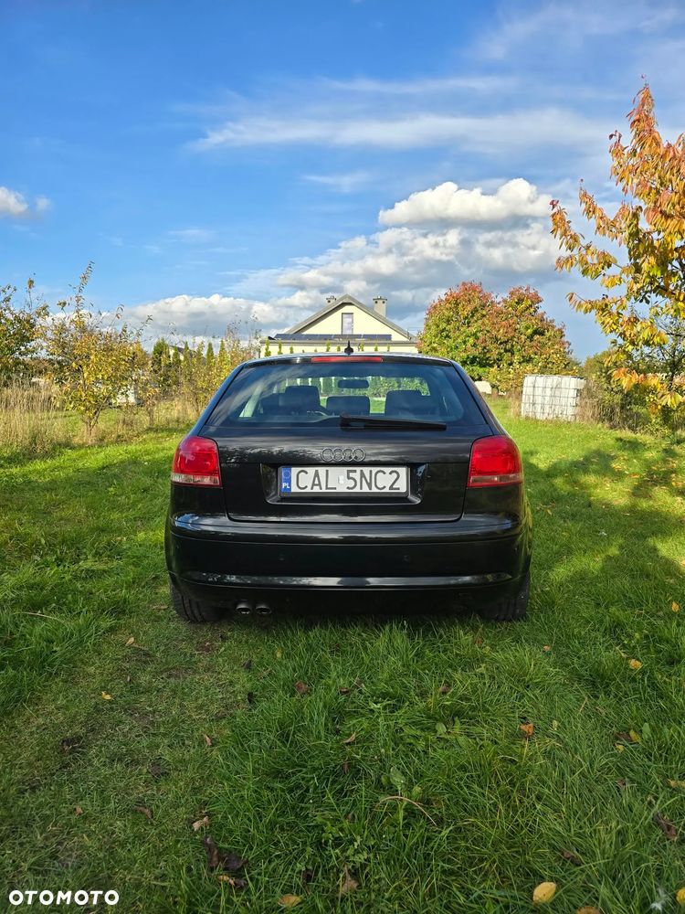Audi A3 2008 photo 5