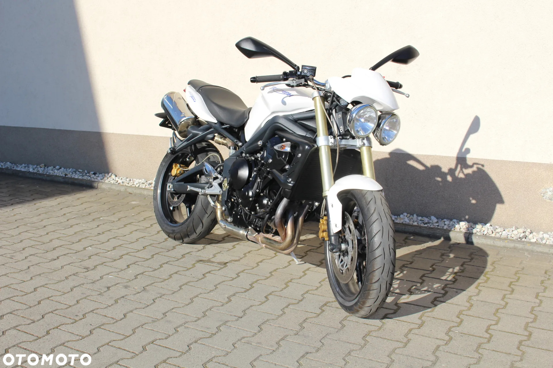 Triumph Speed Triple - 2