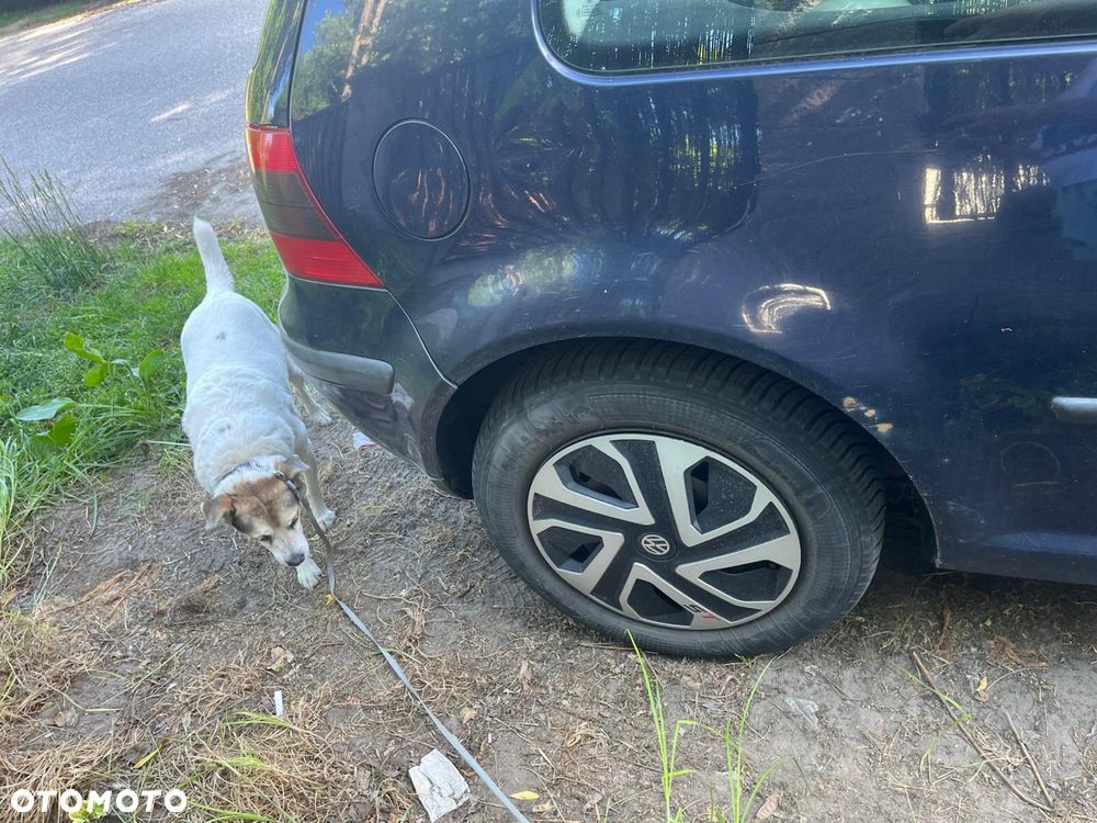 Volkswagen Golf - 4