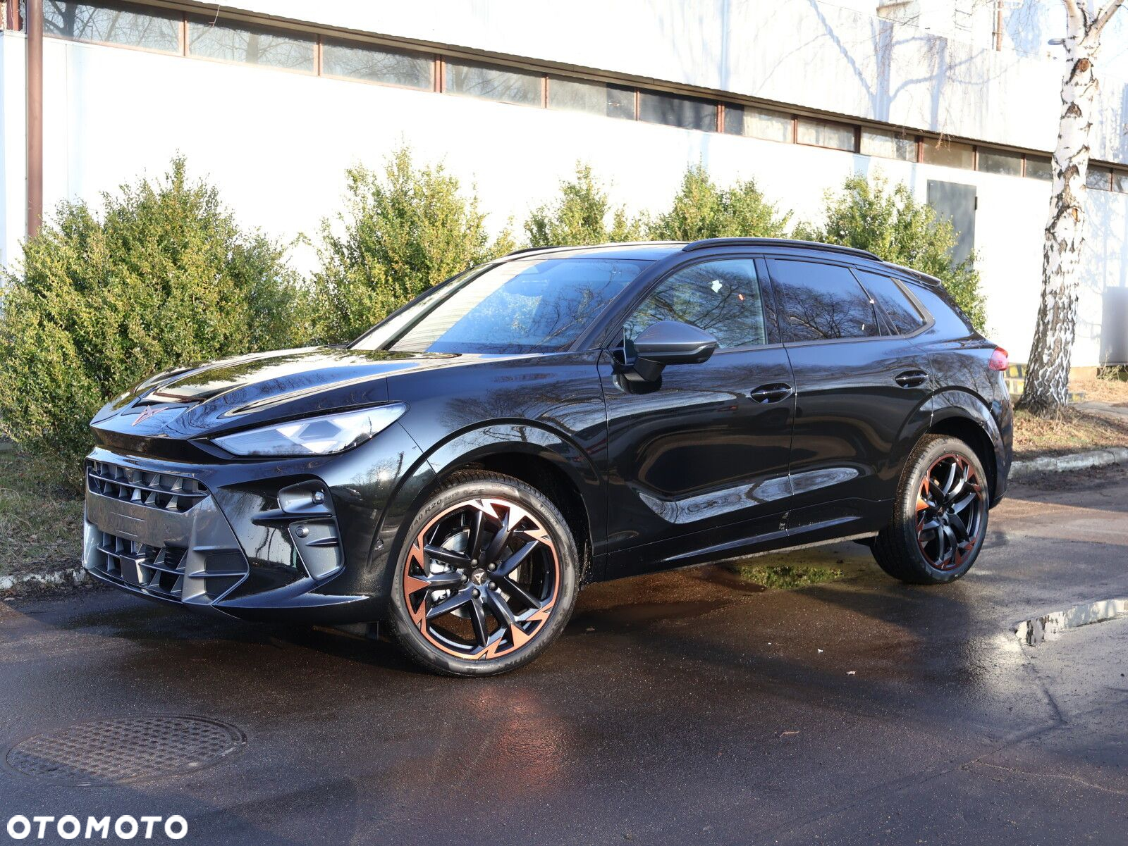Cupra Terramar 2.0 TSI 4Drive DSG - 2