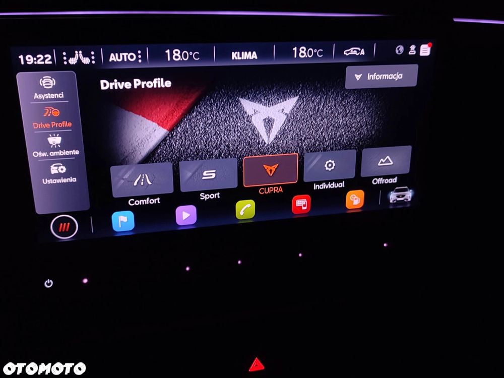Cupra Formentor 2.0 TSI 4Drive VZ DSG - 31