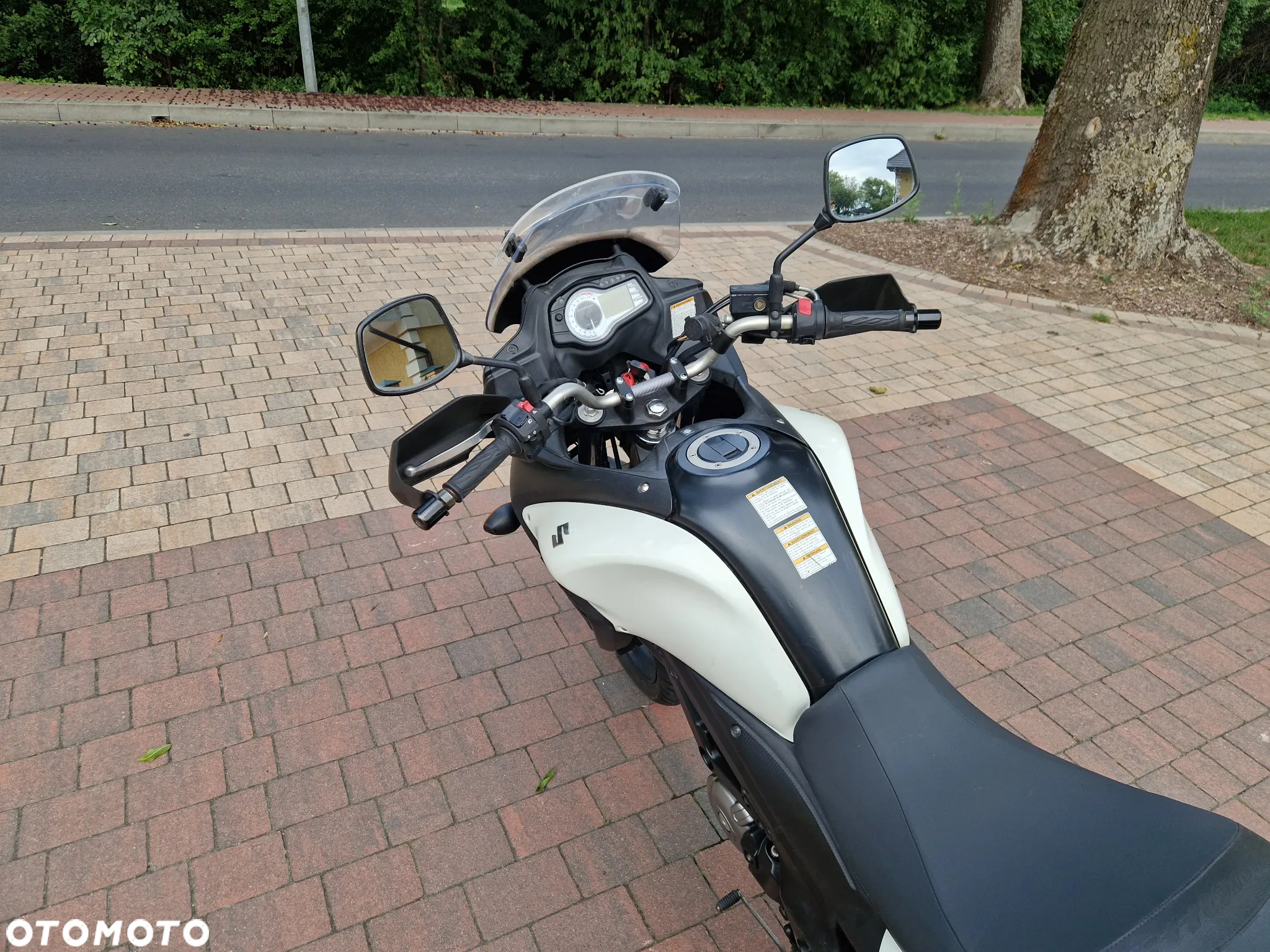 Suzuki DL - 10