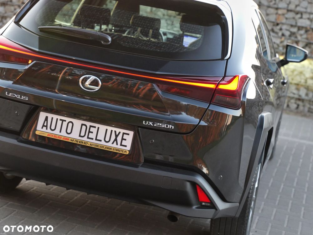 Lexus UX 250h GPF Elegance 2WD - 12