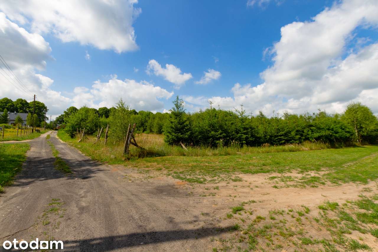 DUŻA DZIAŁKA Budowlana 6835 m2 z projektem i pozwoleniem na budowę - Pełny obrazek: 4/20