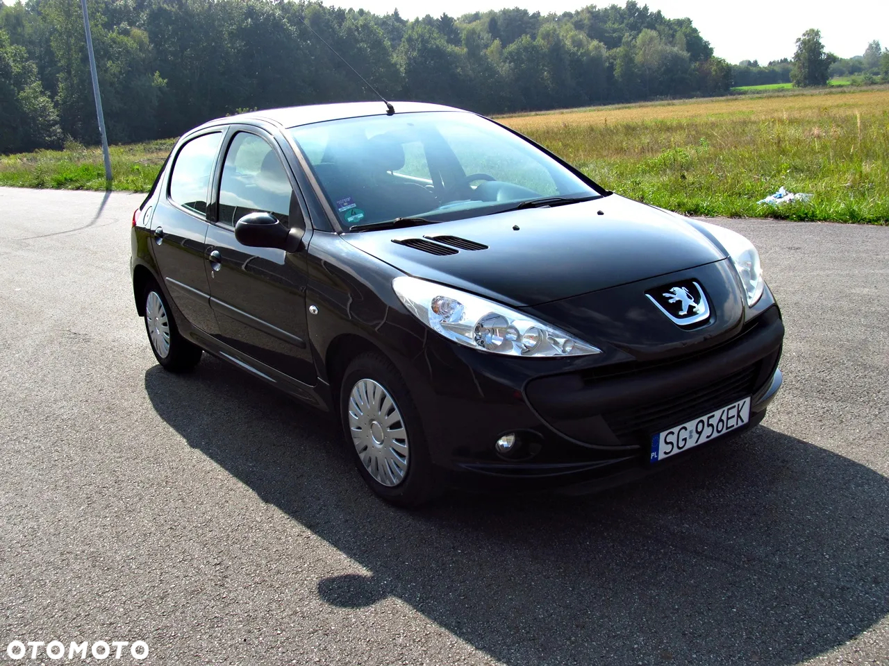Peugeot 206 plus - 2