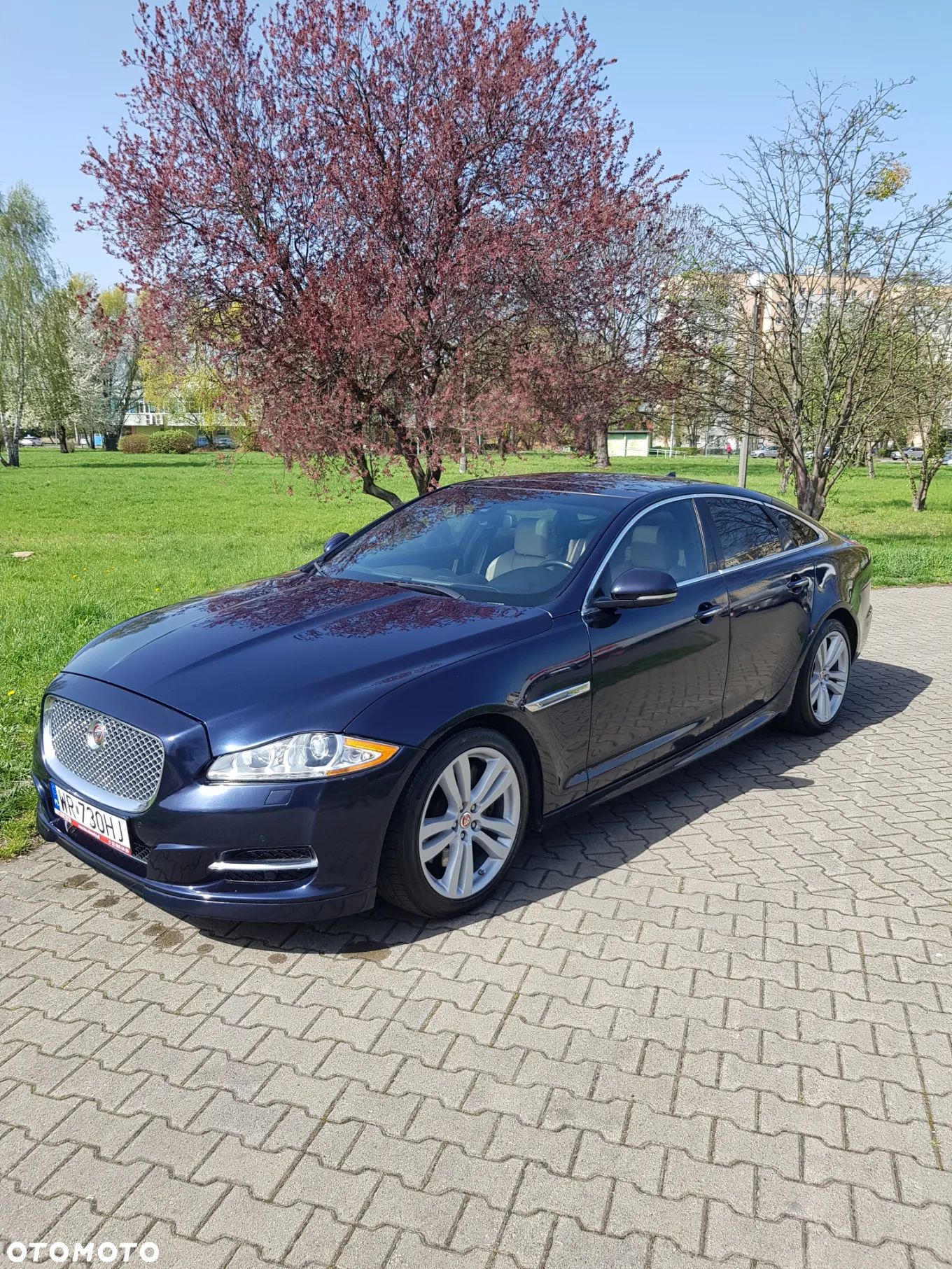 Jaguar XJ 3.0 V6 Kompressor AWD Portfolio - 1