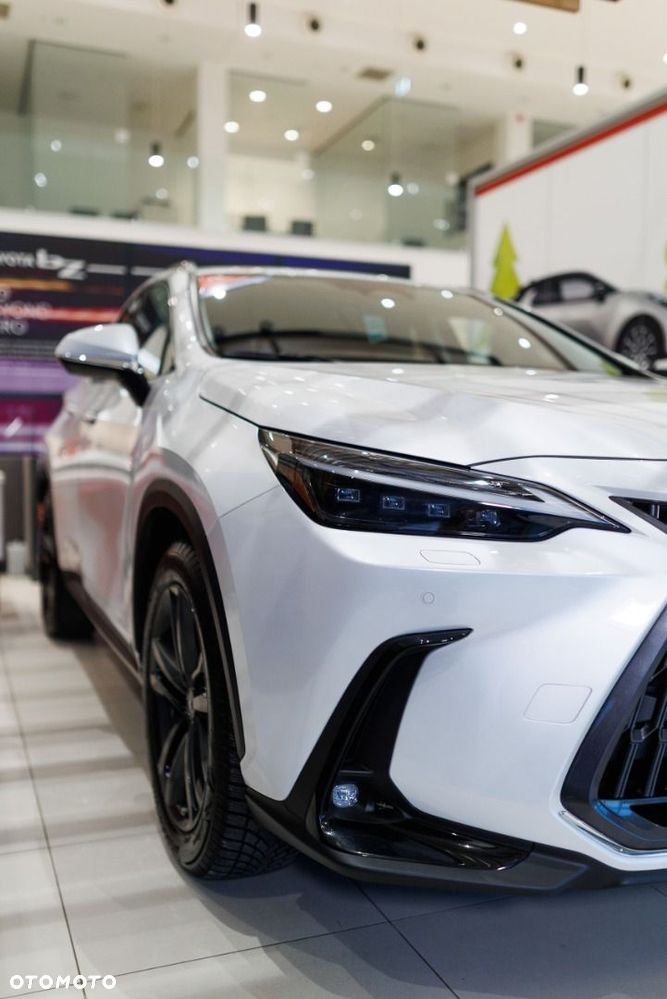 Lexus NX - 16