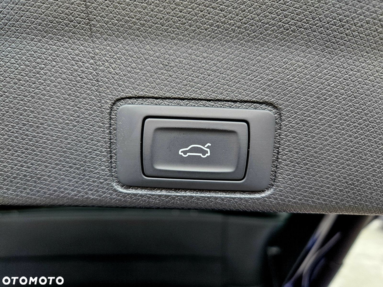 Cupra Terramar - 8