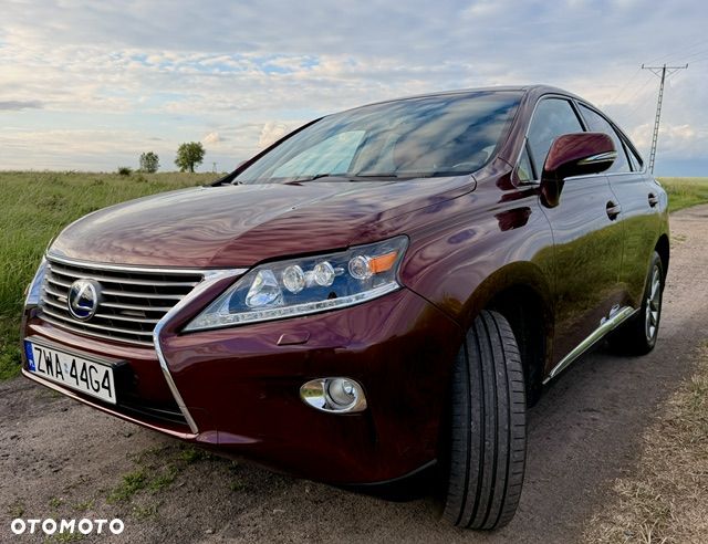 Lexus RX - 19