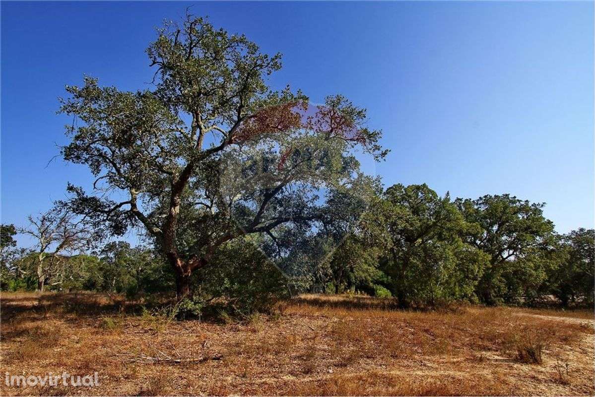 Terreno  para venda - Grande imagem: 5/9