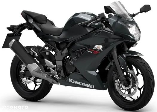 Kawasaki Ninja - 5