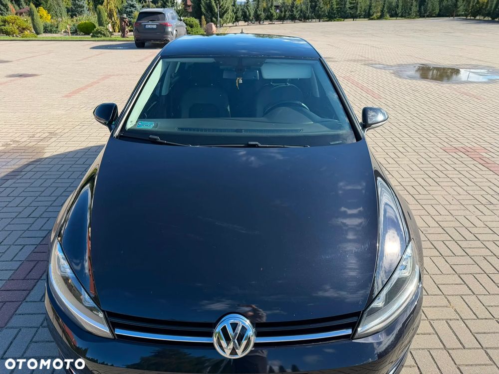 Volkswagen Golf - 12