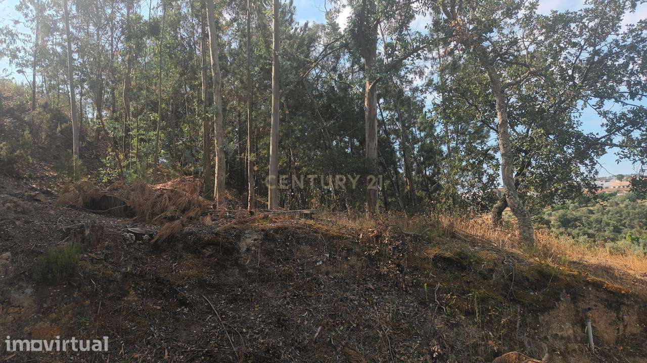 Terreno 1.850m2 || Arrabal - Grande imagem: 2/5