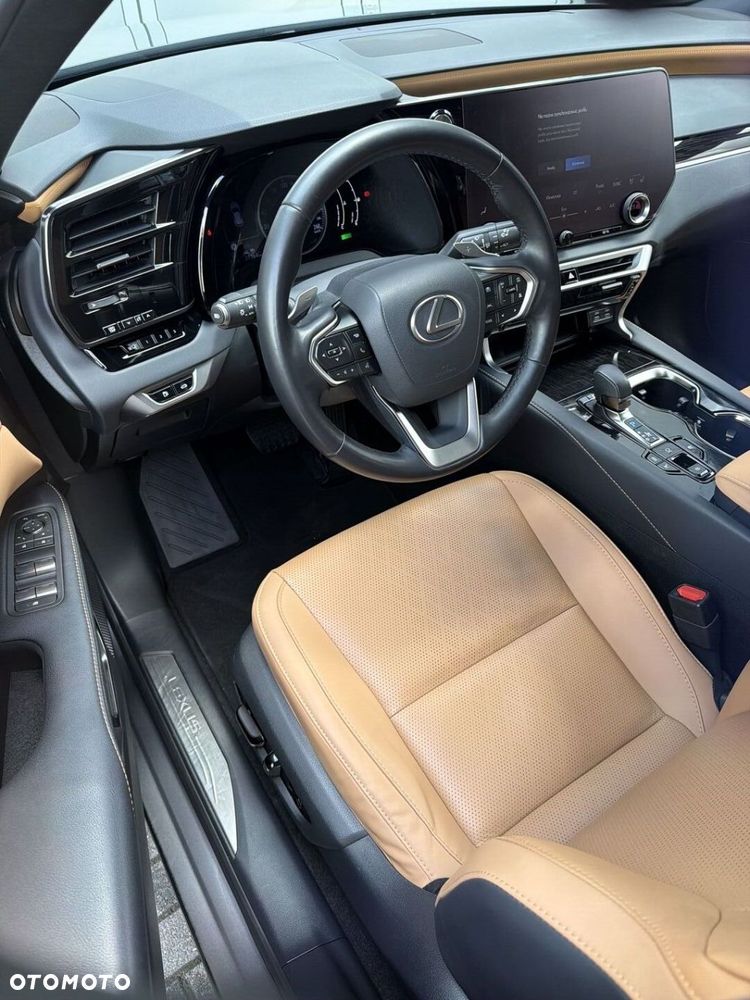 Lexus RX - 10