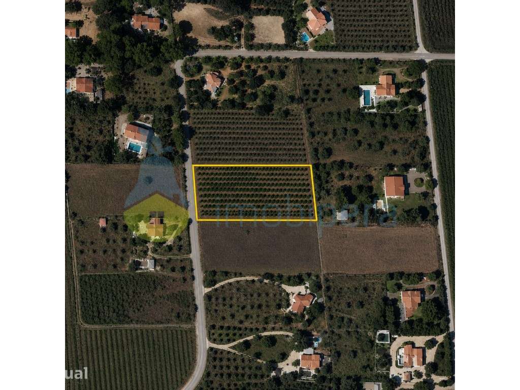Lote para construção de moradia em Foral-Larga Vista,Algoz - Grande imagem: 3/3