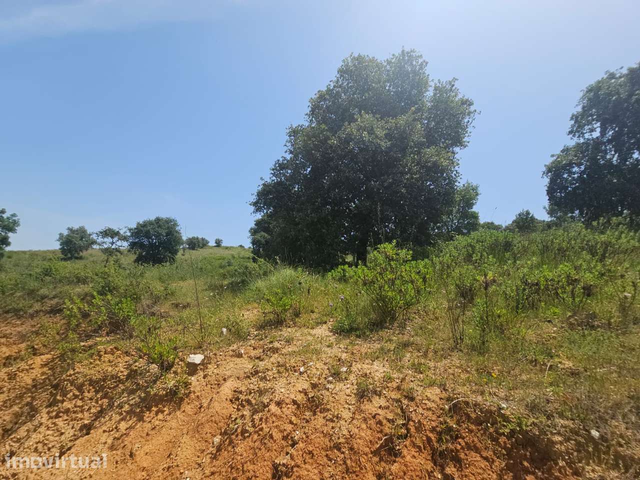 Lote de terreno para construção de moradia, Santarém - Grande imagem: 4/12