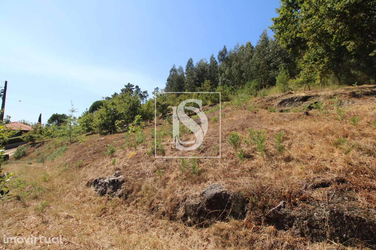 Terreno  Venda em Salvador do Monte,Amarante - Grande imagem: 4/8