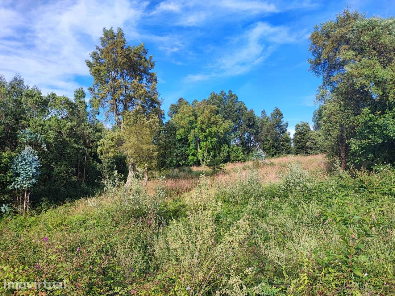 Terreno para construção de moradia em Serzedo - Perosinho - Grande imagem: 4/5