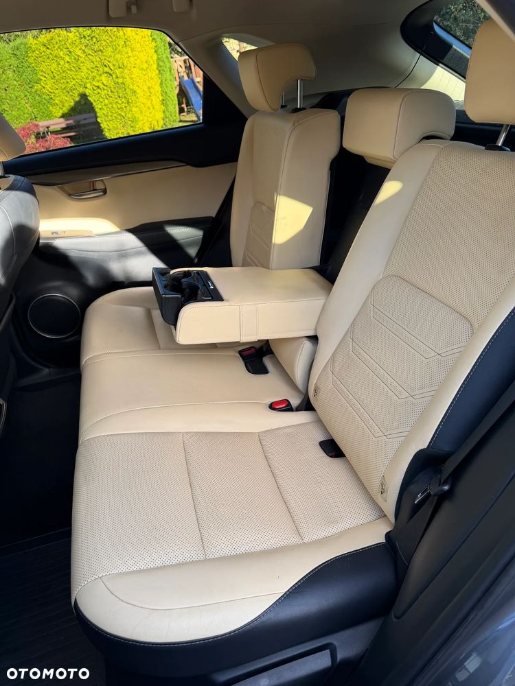 Lexus NX - 13