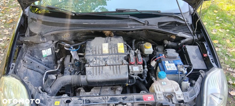 Fiat Grande Punto - 14