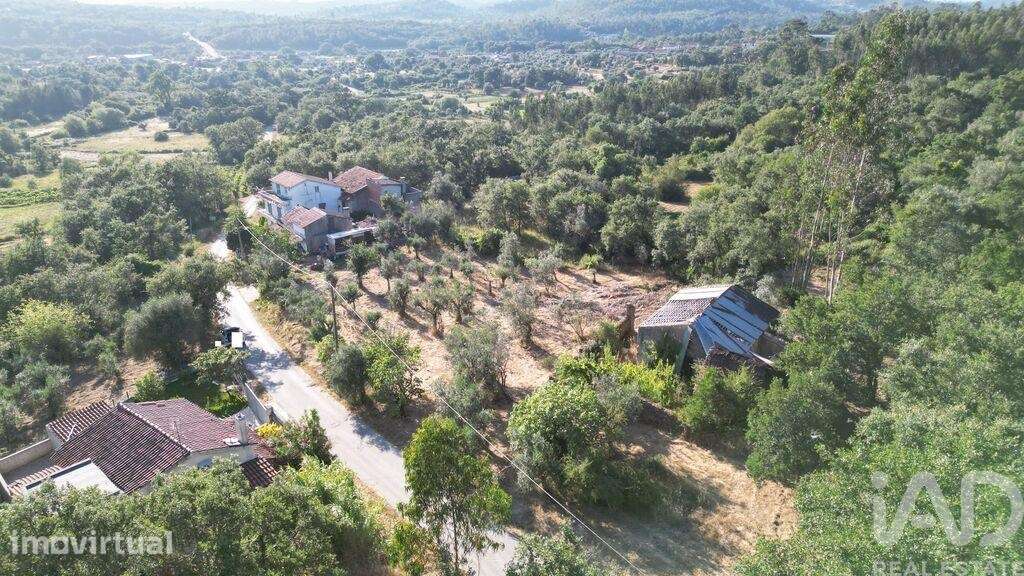 Casa / Villa em Cumeeira de 45 m2 - Grande imagem: 4/22