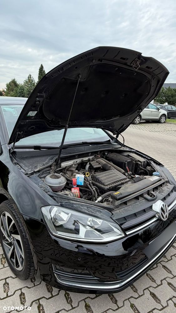 Volkswagen Golf - 16