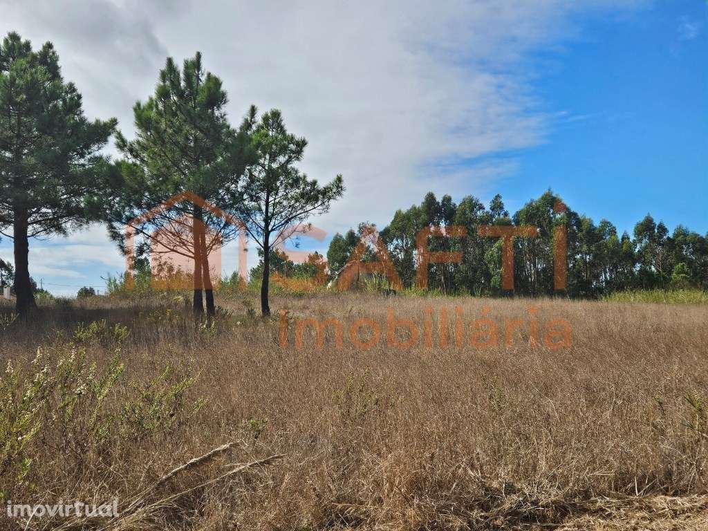 Venda - Terreno com potencial em, A Dos Cunhados - Grande imagem: 3/23