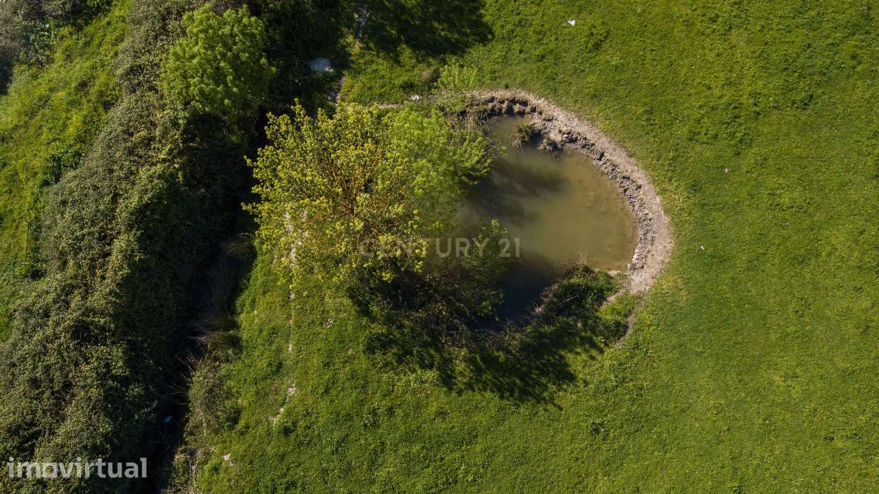 Terreno em Mourão - Alentejo - Grande imagem: 4/16